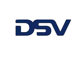 DSV Pro Express
